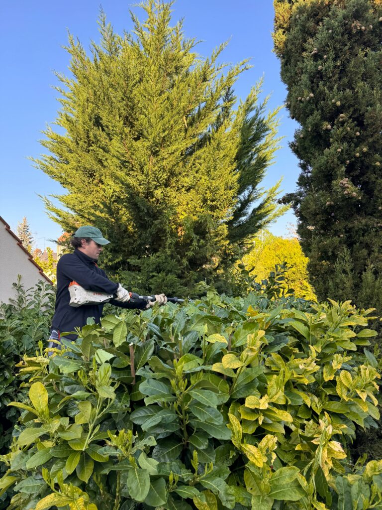 Tanière Paysage , Paysagiste à Soissons